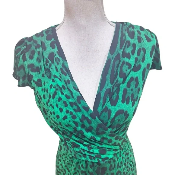 Dolce & Gabbana Italy emerald green v neck Leopard Print Dress stretchy sz EU42 - Picture 5 of 11